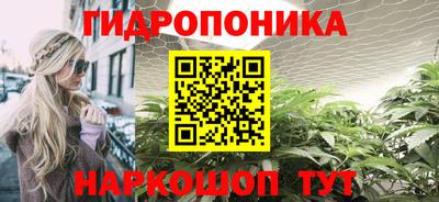 стафф Будённовск