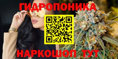дмт Бузулук