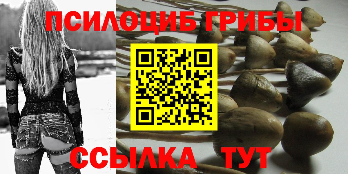 Псилоцибиновые грибы мицелий  Вход с VPN  что такое   Петровск 